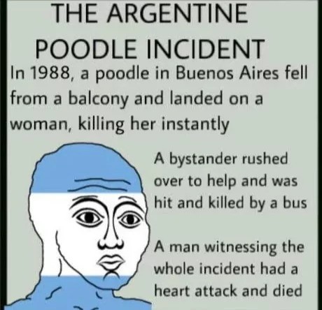 poodle incident.jpg